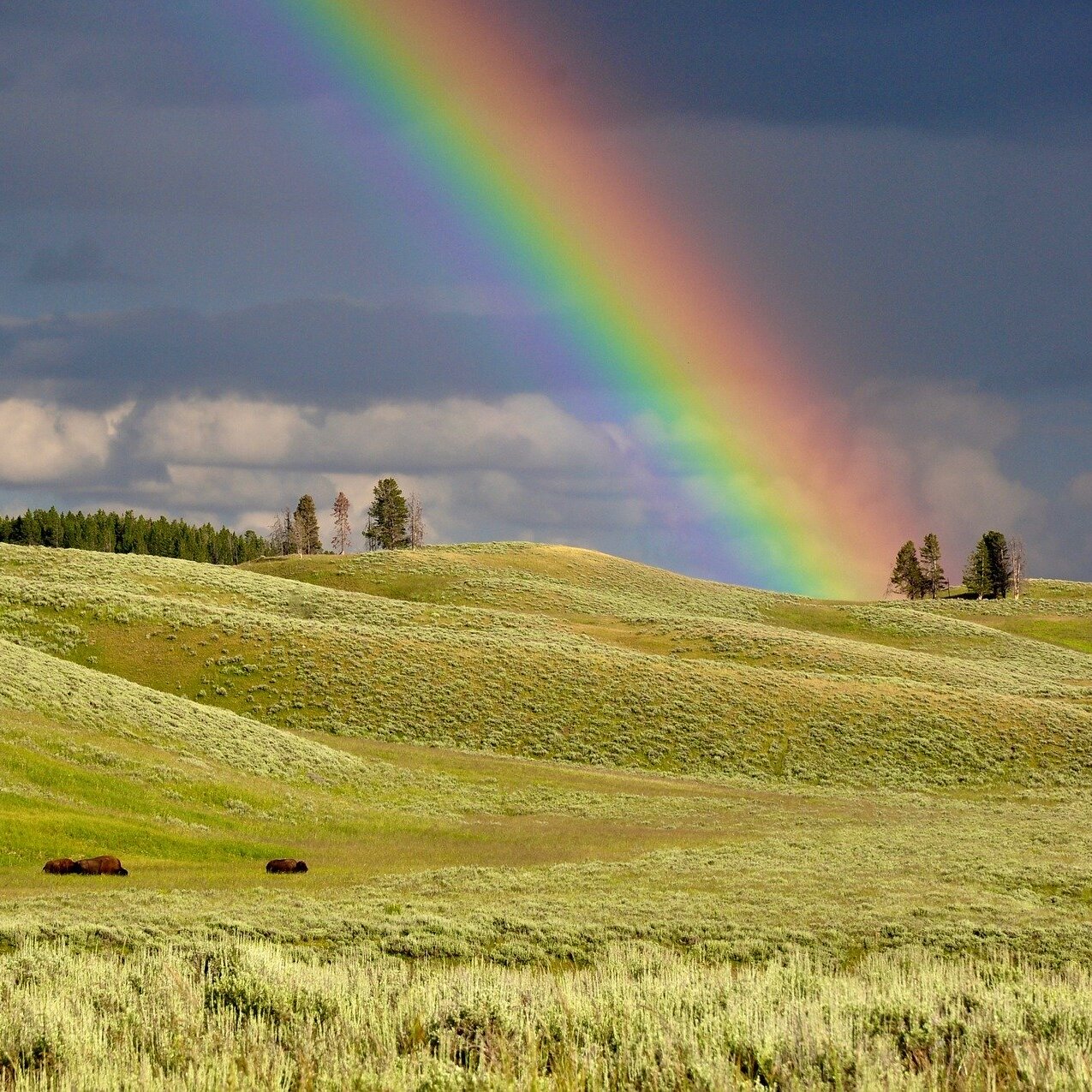 New Year's Intention Workshop - logo